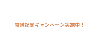 Campaign IT Conversation